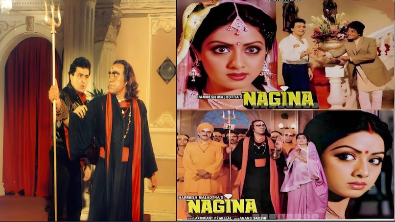 sridevi best moives, sridevi iconic looks, sridevi iconic movies, sridevi best songs, ichchadhari nagin movie hindi, rishi kapoor sridevi movie nagina cast, sri devi movie nagina budget, sri devi movie nagina story, sri devi movie nagina hit o flop, sri devi movie nagina movie box office collection, sri devi movie nagina director, main teri dushman dushman tu mera movie name, main teri dushman dushman tu mera movie lyrics, sridevi ki nagina movie, nagina movie Sridevi ki, nagina movie budget and collection, nagina movie unknown facts, Sridevi husband name, sridevi mithun chakraborty relationship, sridevi daughters name
