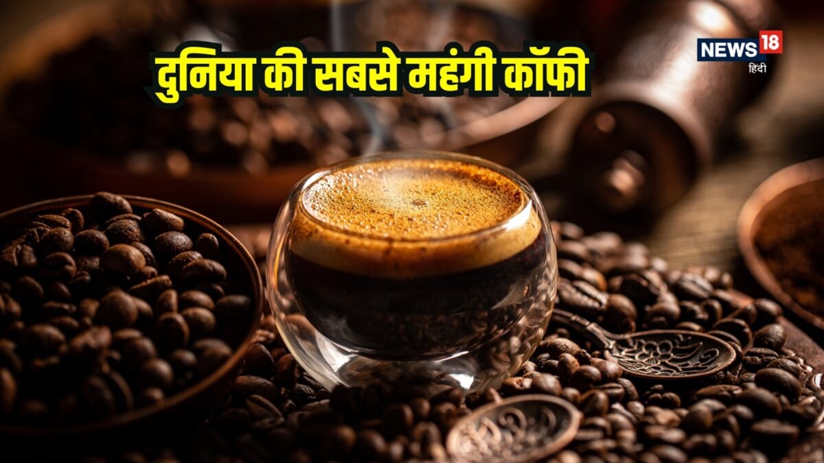 दुनिया की सबसे महंगी कॉफी कैसे बनती है? कीमत जानकर रह जाएंगे हैरान