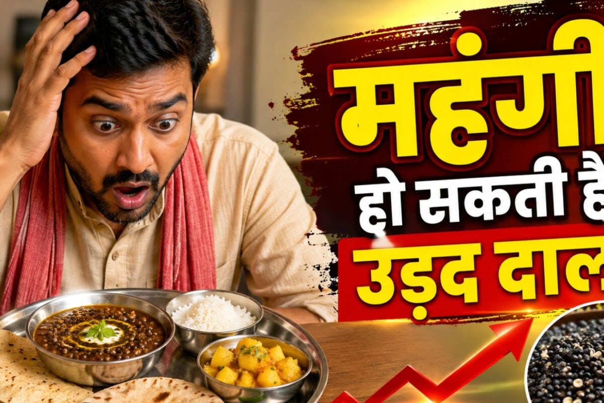 जेब पर बढ़ेगा बोझ! महंगी होगी उड़द की दाल, कमजोर मानसून से बुवाई 40% गिरी