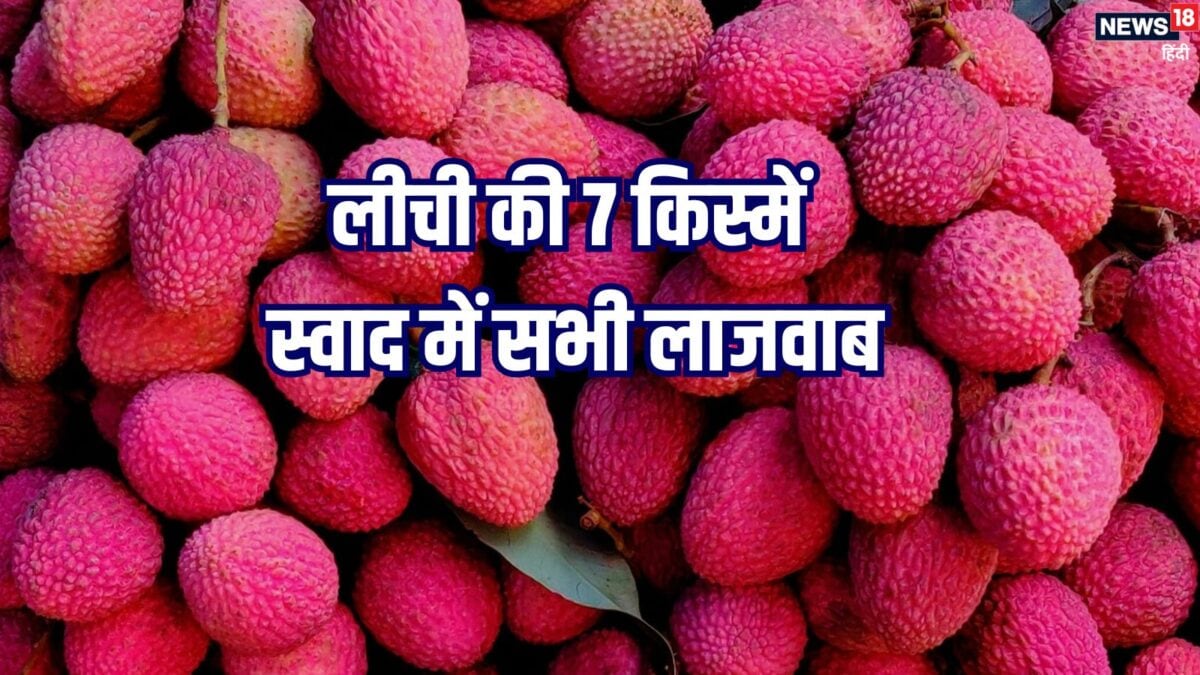 देश में मिलती हैं ये 7 तरह की लीची, कभी चखा है इनका स्वाद? जानें इनकी खासियत