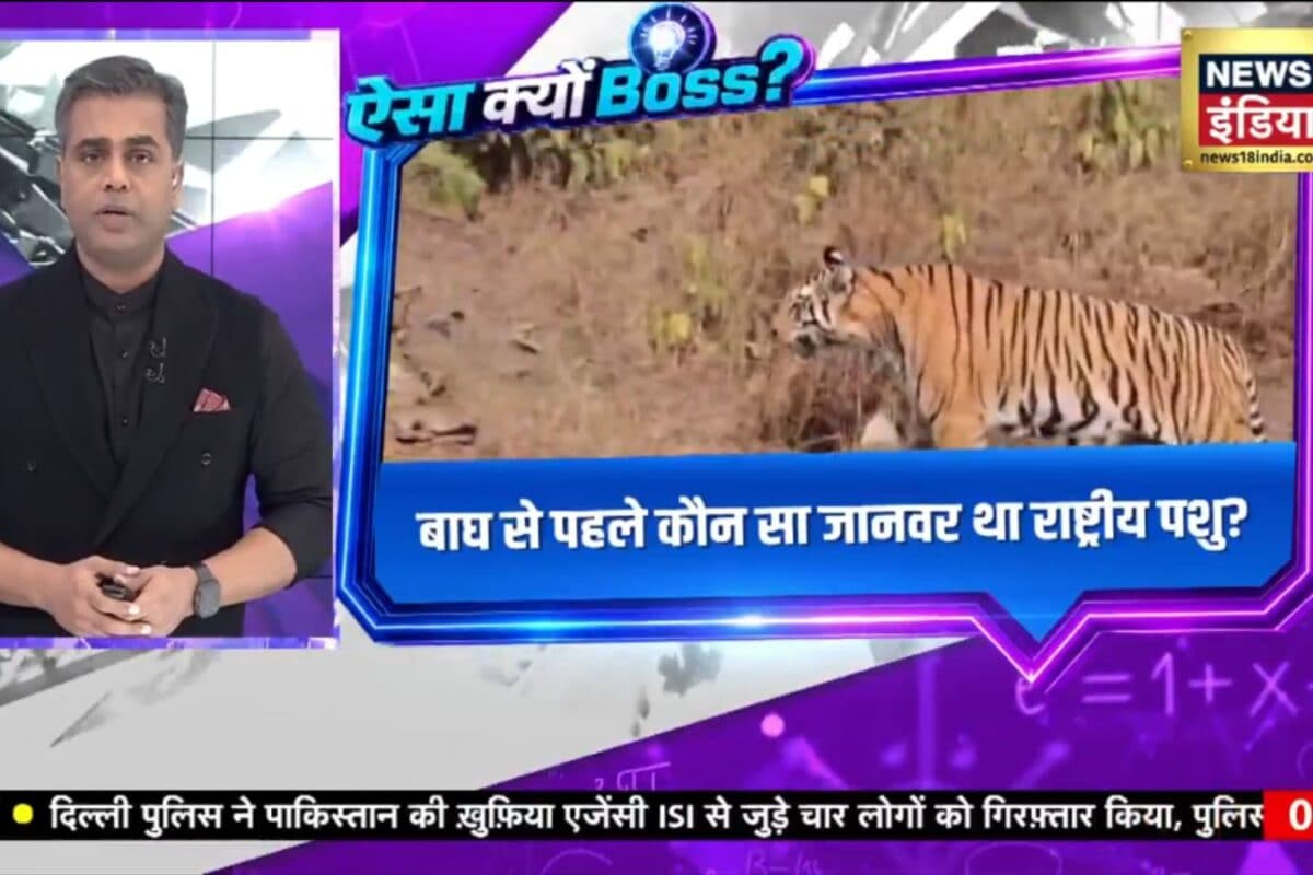 Desh Ki Pathshala : बाघ से पहले कौन सा जानवर था राष्ट्रीय पशुगाय क्यों नहीं