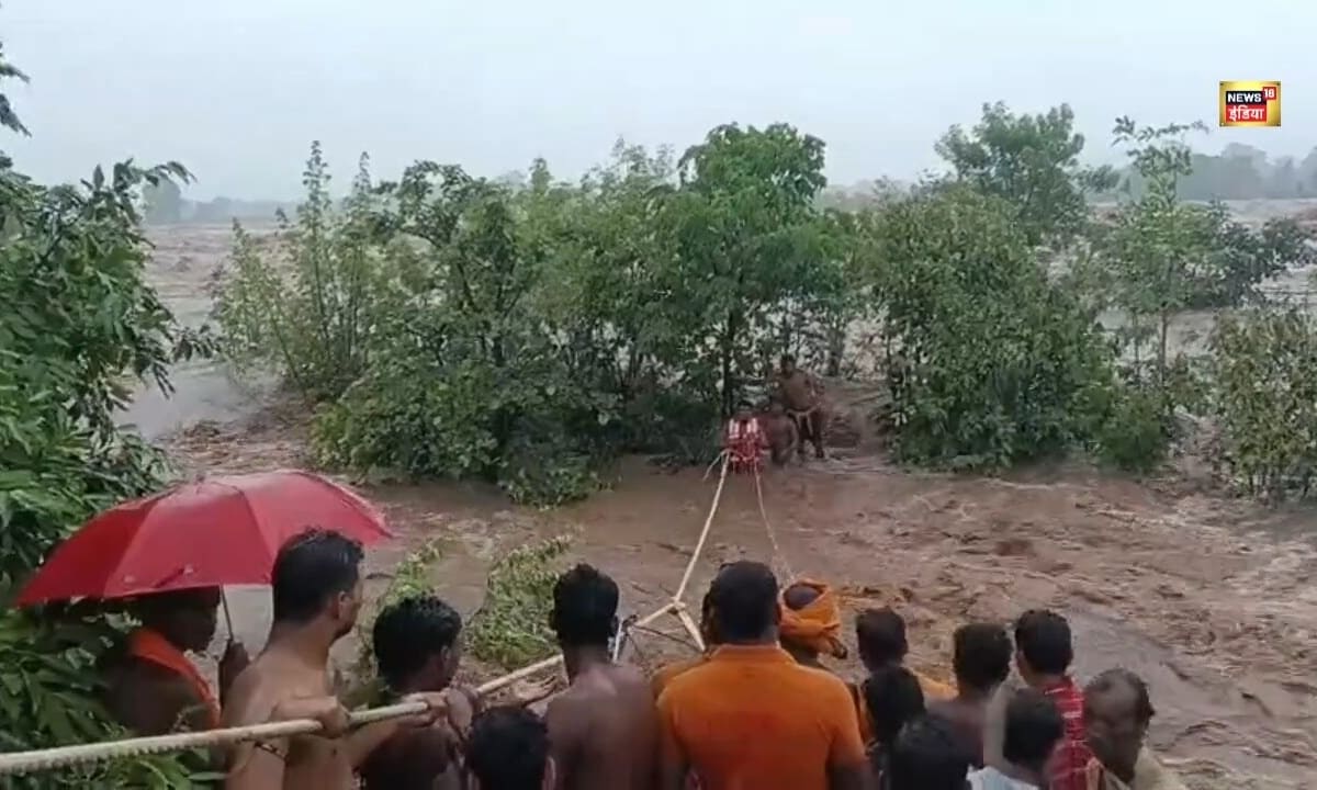 VIDEO: नदी का पानी बढ़ता गया पेड़ से चिपकी रहीं महिलाएं देवदूत बनकर पहुंची फायर टीम