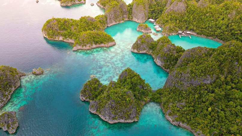 Raja Ampat: If diving is on your bucket list, Raja Ampat is hard to beat. Situated in West Papua, this remote island group is home to some of the richest marine biodiversity on Earth, making it a dream destination for scuba divers and snorkellers alike. Raja Ampat: If diving is on your bucket list, Raja Ampat is hard to beat. Situated in West Papua, this remote island group is home to some of the richest marine biodiversity on Earth, making it a dream destination for scuba divers and snorkellers alike.