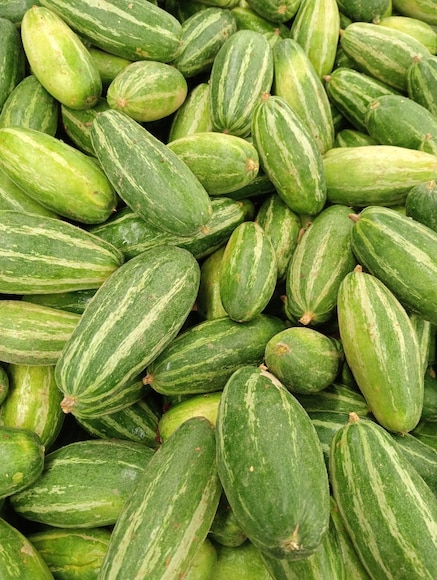Pointed Gourd (Parwal): This fiber rich monsoon vegetable actively supports digestion and helps manage blood sugar levels. Packed with vitamins A and C, it strengthens your immune system, shielding you from seasonal infections while keeping your gut light and healthy during wet weather.