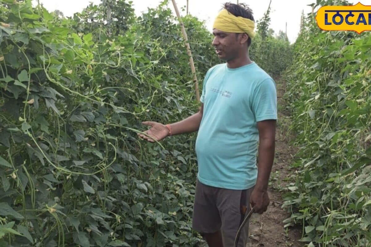 भोजपुर के किसान का कमाल, 50 हजार लगाकर 5 लाख तक कमाई, एक पौधे से 50 बार तुड़ाई