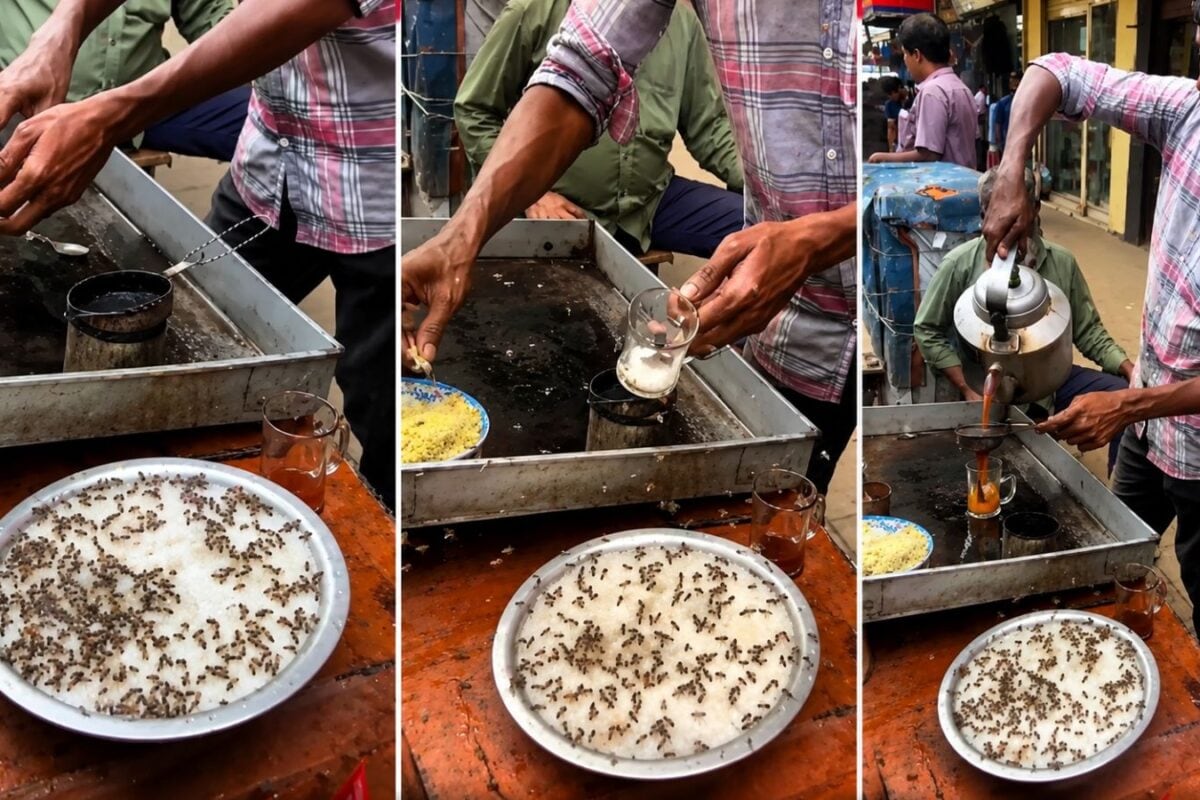 चाय में चीनी नहीं, मक्खियों का तड़का!, वायरल वीडियो ने मचाई सनसनी, लोग बोले- 'अब बाहर की चाय नहीं पीएंगे'