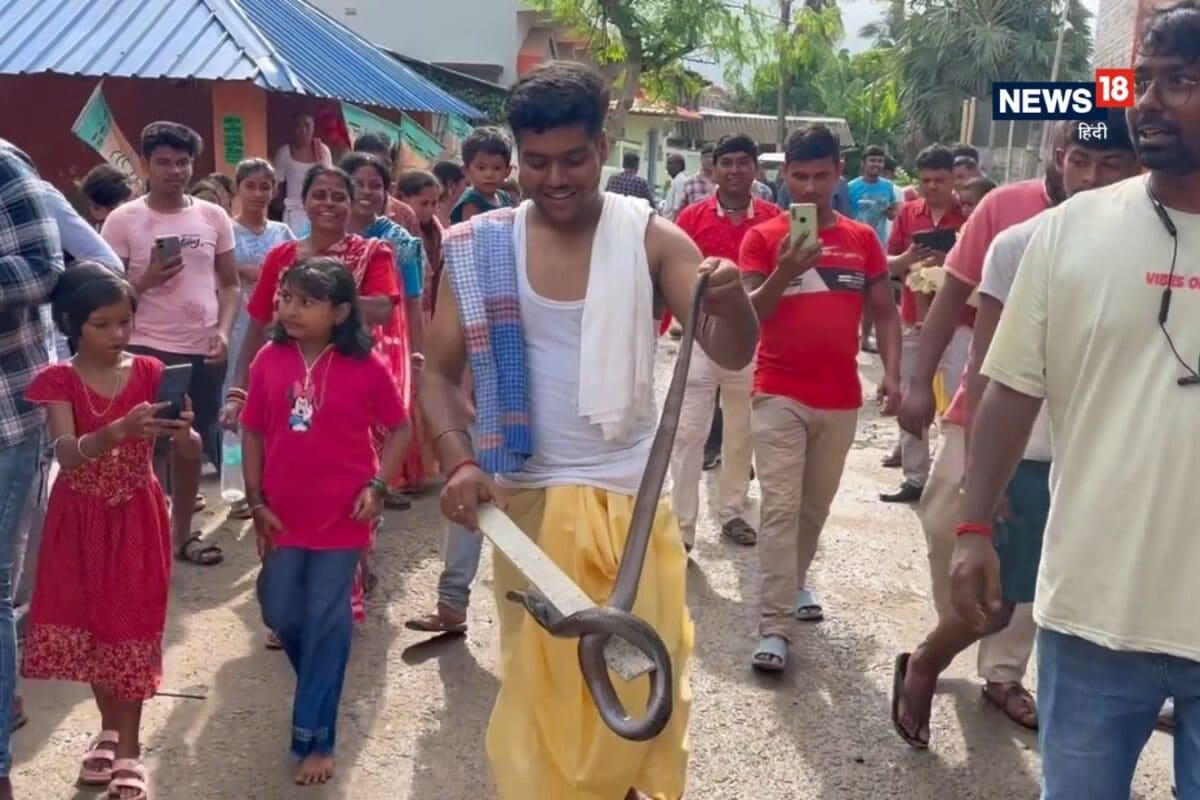 जहरीले कोबरा को मां झांकेश्वरी मानकर पूजा! बंगाल के 7 गांवों में घरों में बेखौफ घूमते हैं नाग