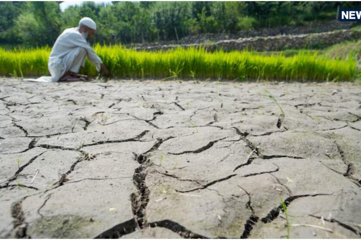 सूखा बाढ़ भीषण गर्मी अल नीनो बनेगा और ताकतवर प्रकृति का नया इम्तिहान! धरती का बढ़ेगा तापमान