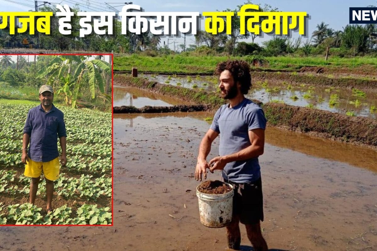 Success Story: इस क‍िसान के आगे तो ब‍िजनेसमैन भी फेल 5 एकड़ के खेत पर फसल उगाकर नहीं तो सालभर में कैसे कमा लेता है 10 लाख रुपये