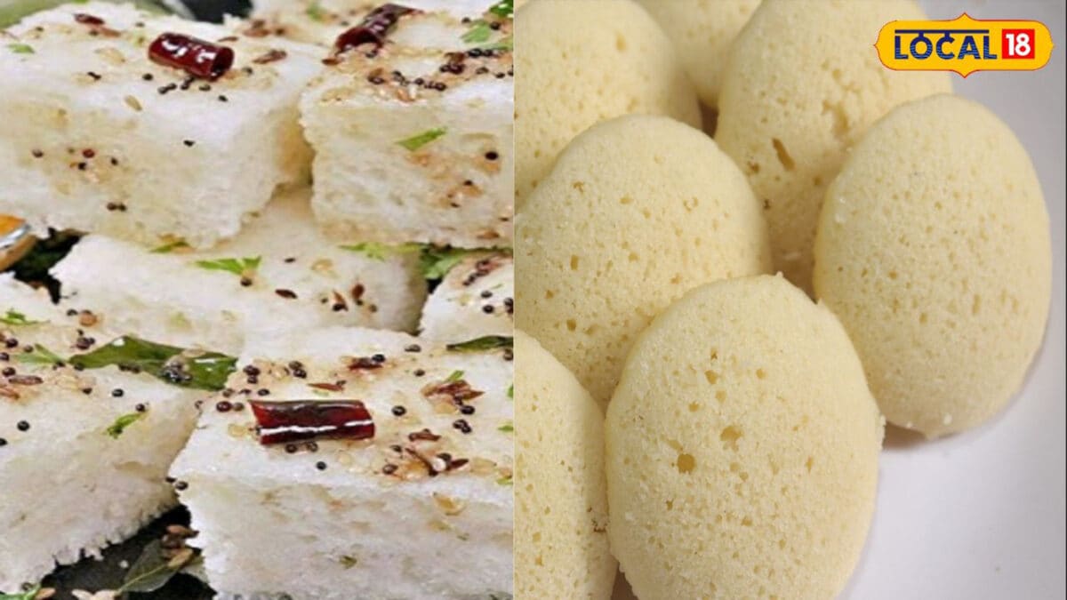 अब फटाफट तैयार होगा नाश्ता या टिफिन, जानें 15 मिनट में बनने वाली इडली और ढोकला की Recipe