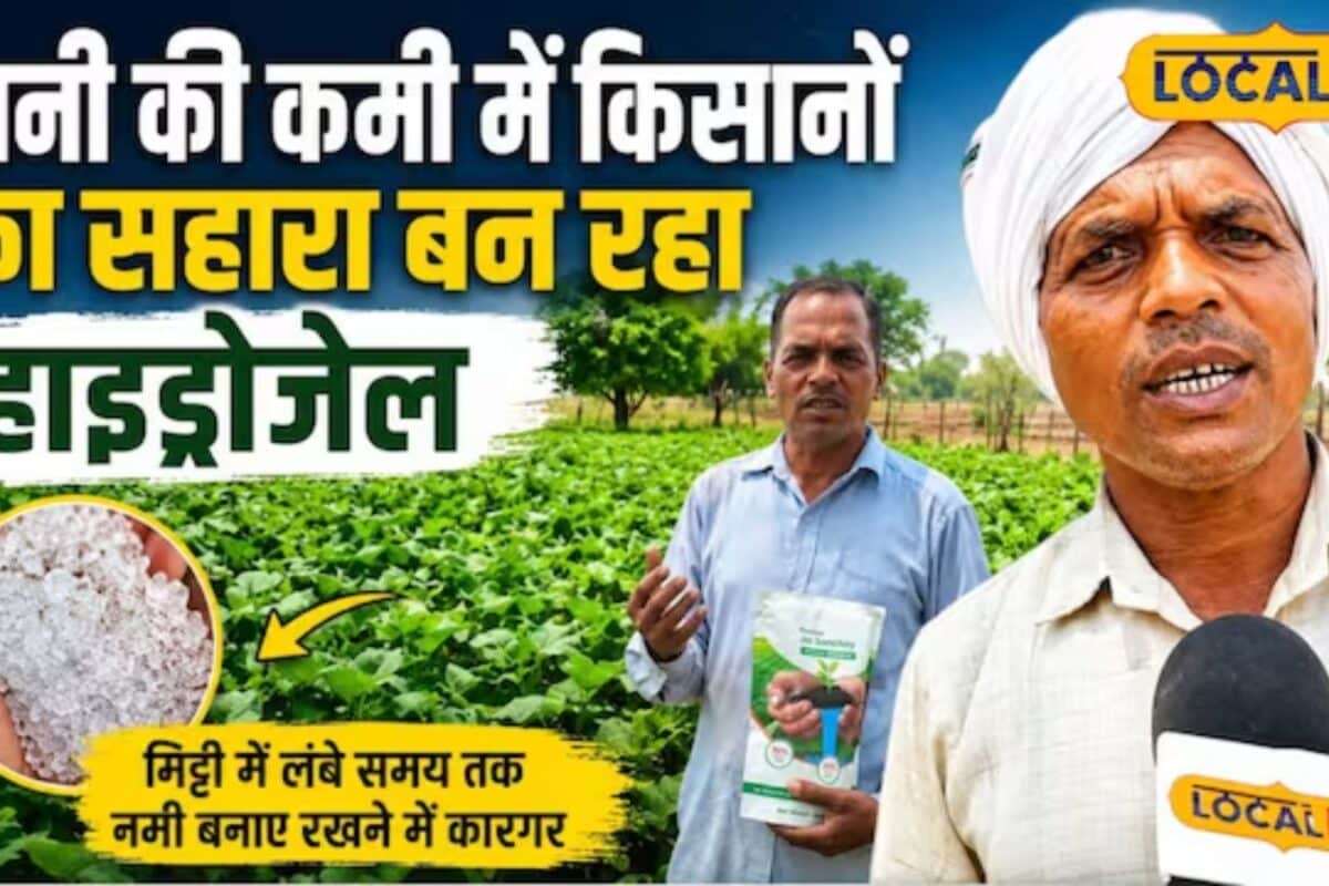 कम बारिश में फसलों को नहीं होगी पानी की कमी इस तकनीक से मिट्टी में लंबे समय रहेगा नमी