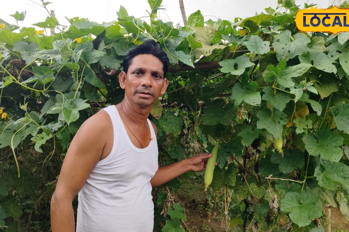 Video: धान छोड़ अपनाई मचान विधि! किसान शरद महतो ने 15 हजार लगा कमाए 135 लाख जानें स्मार्ट गुरुमंत्र