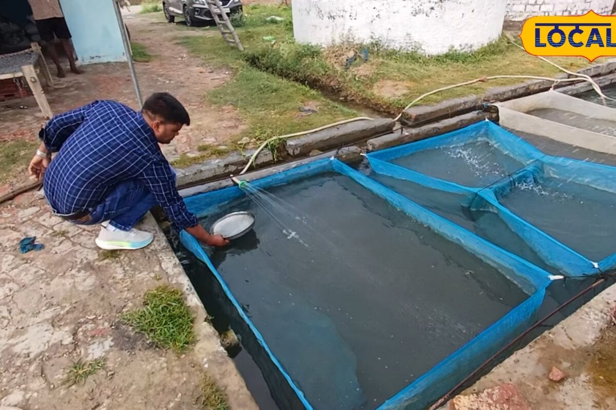 बारिश में मछलियां मरने लगें उससे पहले संभल जाइए जुलाई में तालाब की देखभाल के ये टिप्स बचाएंगे लाखों की कमाई
