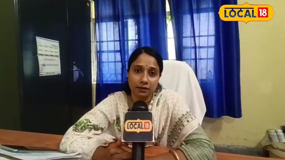 आम का बाग लगाने से पहले जान लें यह सीक्रेट! एक गलती पड़ सकती है भारी सूख सकता है पूरा पौधा
