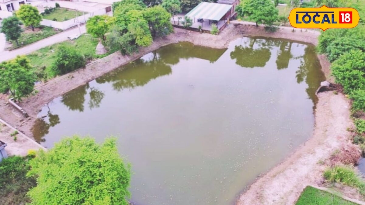 आजमगढ़ में 100 ग्राम पंचायतों में बनेंगे प्लास्टिक मुक्त मॉडल तालाब, जल संरक्षण और हरियाली को मिलेगा बढ़ावा आजमगढ़ में 100 ग्राम पंचायतों में बनेंगे प्लास्टिक मुक्त मॉडल तालाब, जल संरक्षण और हरियाली को मिलेगा बढ़ावा