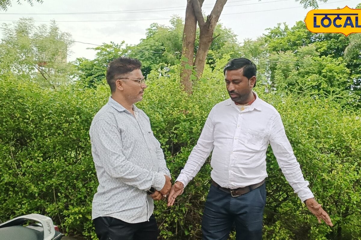 यूट्यूब से मिला आइडिया किसान ने डेढ़ एकड़ में शुरू की लाल चंदन की खेती अब छप्परफाड़ हो रही कमाई