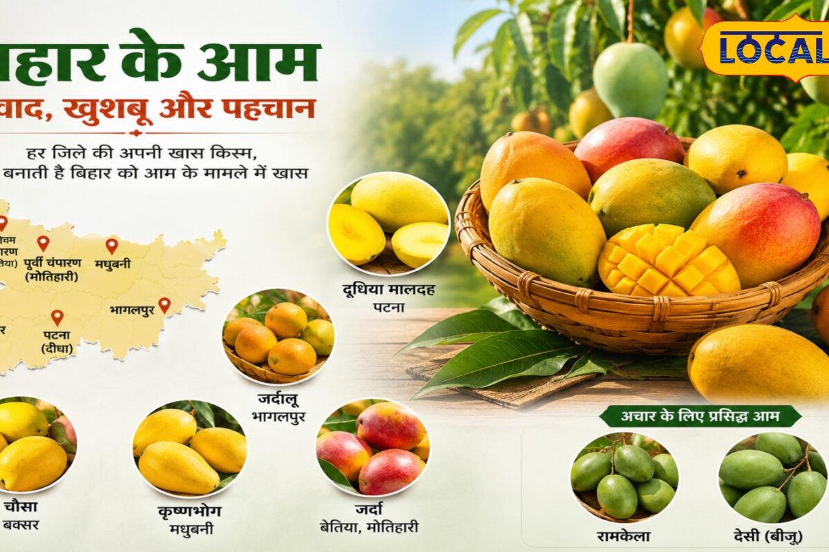चौसा से जर्दालू तकक्या आप जानते हैं बिहार में कितने प्रकार के हैं आम विदेशों तक है पहचान