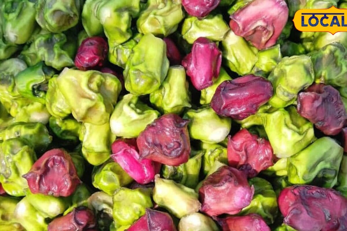 Water Chestnut Farming: तालाब नहीं है तो भी खेत में कर सकते हैं सिंघाड़े की खेती, कम लागत में कमाएं 3 लाख तक का मुनाफा