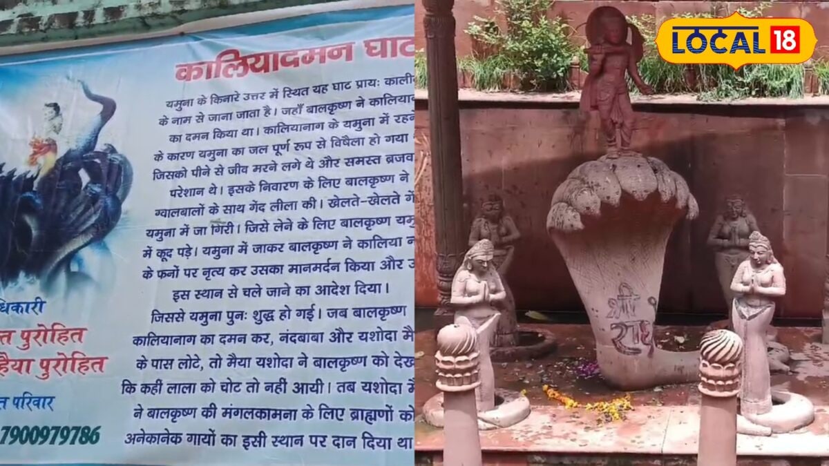 कृष्ण लीलाओं का गवाह है यमुना नदी, द्वापर युग में कालिया नाग से किया था युद्ध, पत्नियों के निवेदन पर छोड़ा था, जाने कहानी कृष्ण लीलाओं का गवाह है यमुना नदी, द्वापर युग में कालिया नाग से किया था युद्ध, पत्नियों के निवेदन पर छोड़ा था, जाने कहानी
