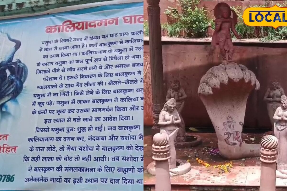 कृष्ण लीलाओं का गवाह है यमुना नदी द्वापर युग में कालिया नाग से किया था युद्ध पत्नियों के निवेदन पर छोड़ा था जाने कहानी