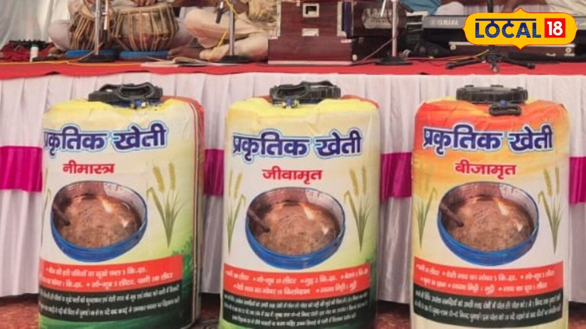 महंगी दवा छोड़िए, घर पर बनाइए ‘नीमास्त्र’, फसलों के कीटों पर करेगा असरदार वार महंगी दवा छोड़िए, घर पर बनाइए ‘नीमास्त्र’, फसलों के कीटों पर करेगा असरदार वार