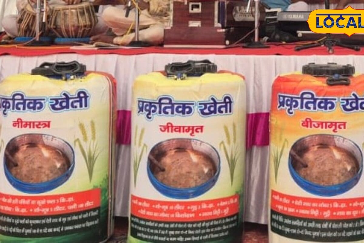 महंगी दवा छोड़िए घर पर बनाइए नीमास्त्र फसलों के कीटों पर करेगा असरदार वार