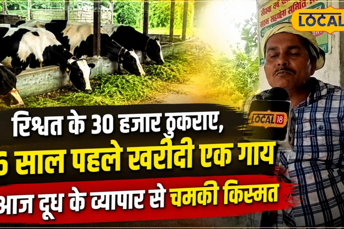 Success Story: झूठे मुकदमे ने बदला भाग्य! घूस देने के बजाय खरीदी गाय आज किसान आलोक बने मिल्कमैन केस भी जीता
