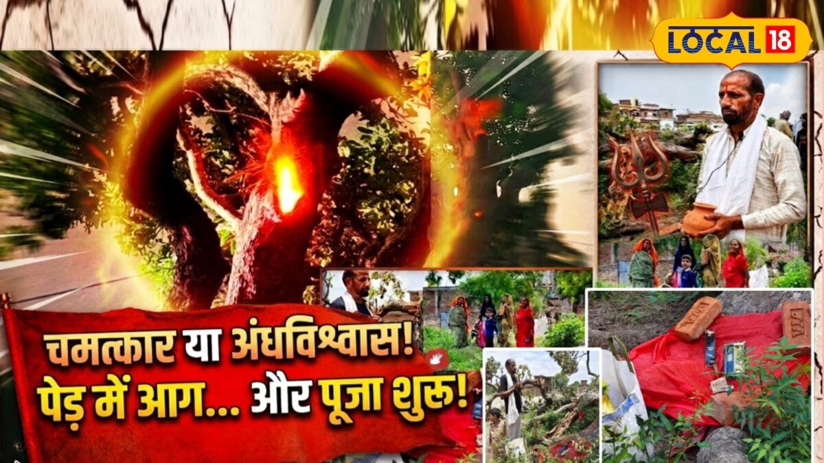 बलिया के नरावं गांव में महुआ का चमत्कारिक पेड़, 6 दिन से बारिश से भी नहीं बुझ रही आग, स्थानीय कर रहे पूजा बलिया के नरावं गांव में महुआ का चमत्कारिक पेड़, 6 दिन से बारिश से भी नहीं बुझ रही आग, स्थानीय कर रहे पूजा