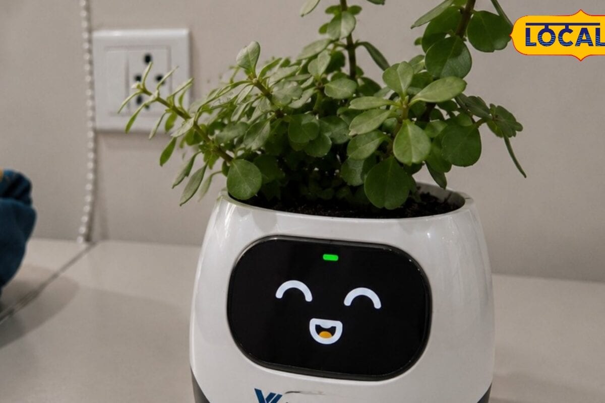 Smart Emotion Pot Innovation: अब पौधे भी बताएंगे अपनी भावनाएं, कोटा के आर्यन सिंह का 'स्मार्ट इमोशन पॉट' बना चर्चा का विषय