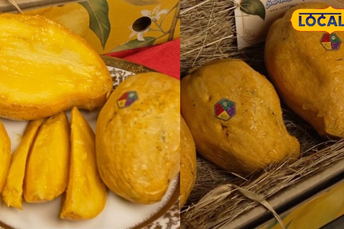 हैदराबाद का वह नायाब आम जिसने महारानी विक्टोरिया का जीत लिया था दिल