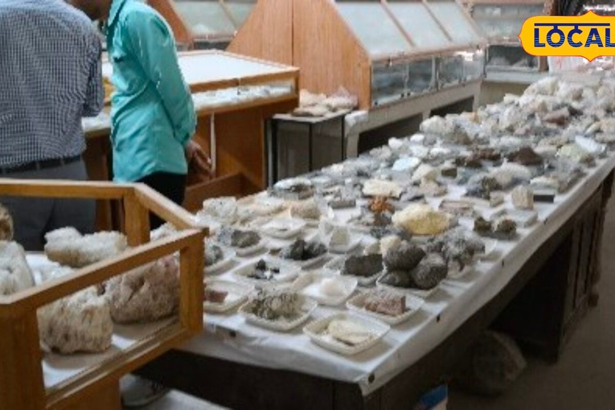 Bikaner News: 10 हजार दुर्लभ नमूनों का खजाना, डूंगर कॉलेज का जियोलॉजिकल म्यूजियम बना शोध का बड़ा केंद्र