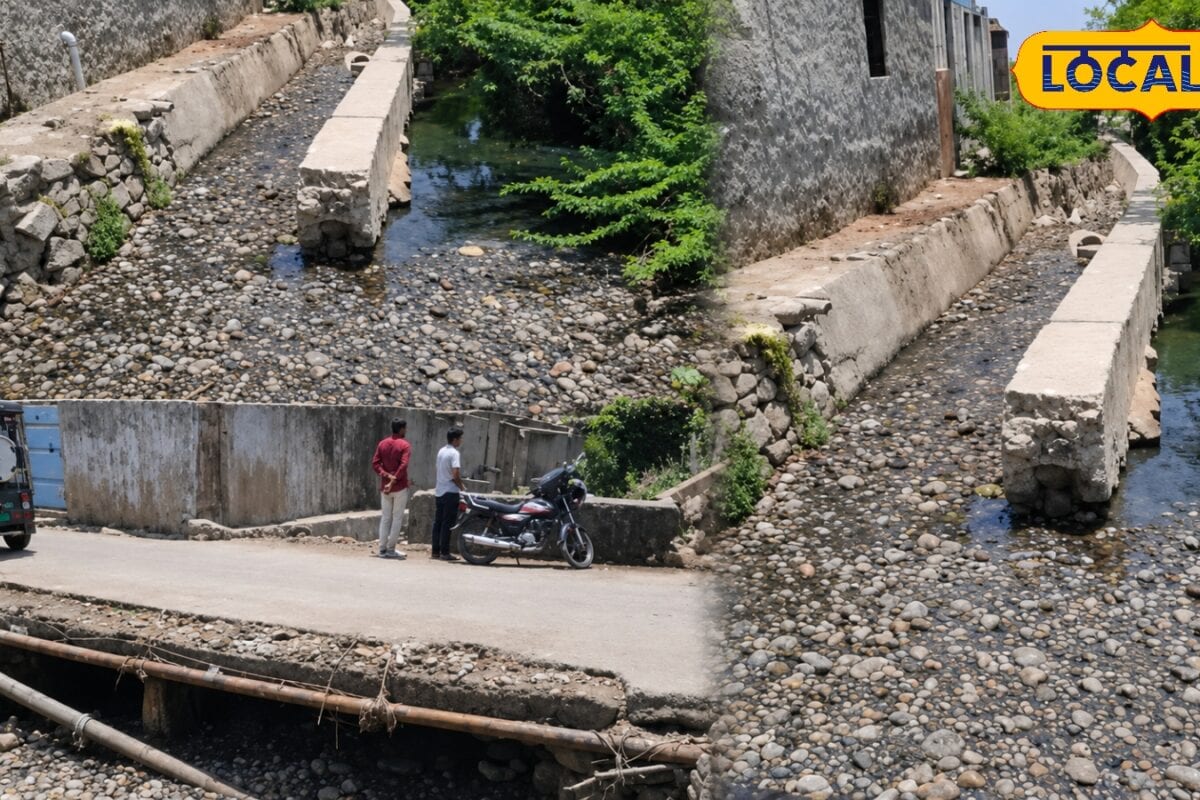 Ground Report: पाली के वो मोहल्ले जहां मुफ्त में भी मकान लेने से डरते हैं लोग! 365 दिन का नरक और अब जहरीले जीवों का खौफ