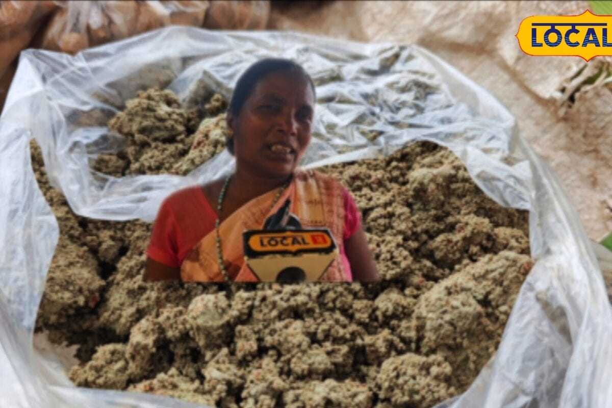 ब्रांडेड शैंपू से मिलेगा छुटकारा पैसों की होगी बचत बस घर ले आये ये जंगल की मिट्टी बाल होंगे मुलायम और चमकदार