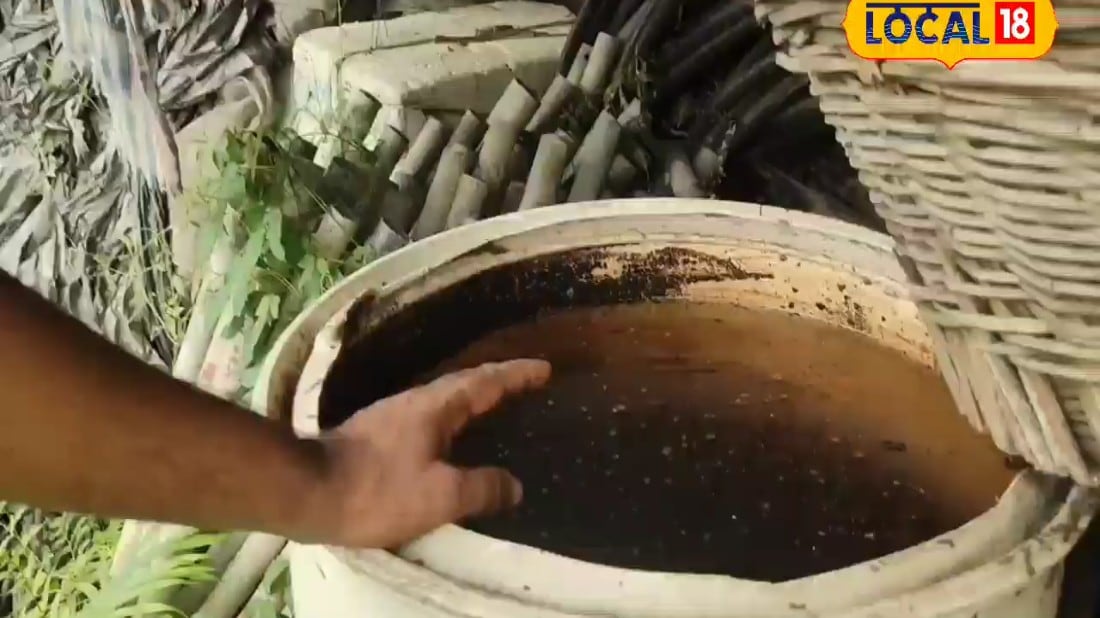1 एकड़ में 10000 की खाद की जगह ₹300 में बनेगा काम, मिट्टी होगी उपजाऊ, पैदावार झमाझम, ये हैं जैविक खाद के मजे