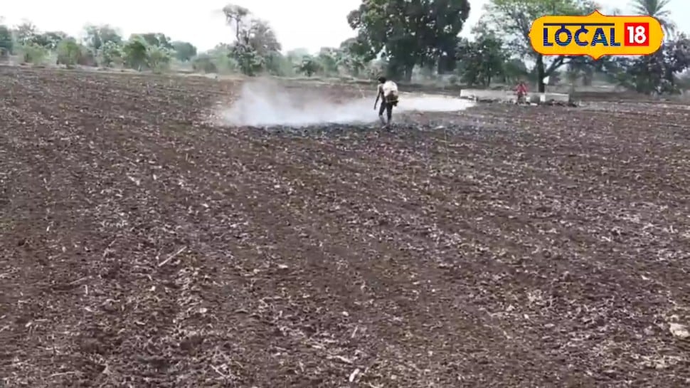 बुवाई के 72 घंटे के भीतर करें यह काम नहीं उगेंगे खरपतवार जानें कौन-सी दवा कितनी डालें