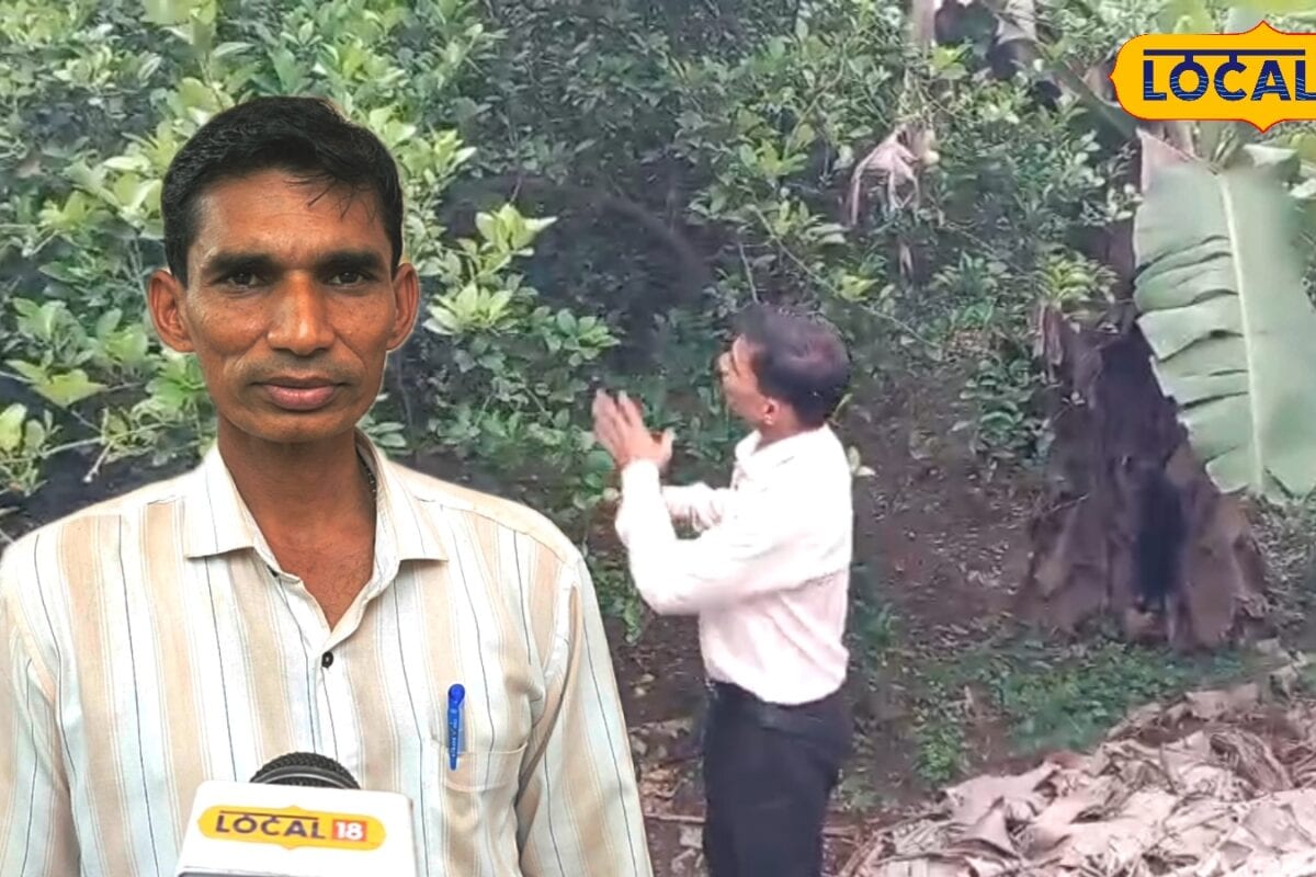 ऑर्गेनिक खेती से बदली इस किसान की किस्मत 5 एकड़ में केला-पपीता लगाकर सालाना कर रहे छप्परफाड़ कमाई