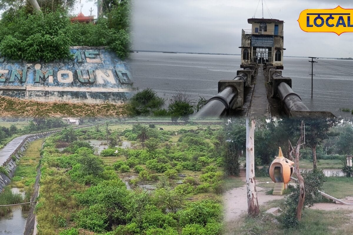मानसून में जन्नत बन जाता है भीलवाड़ा का मेजा बांध! हरियाली लबालब पानी और खूबसूरत नज़ारे खींच रहे पर्यटकों को