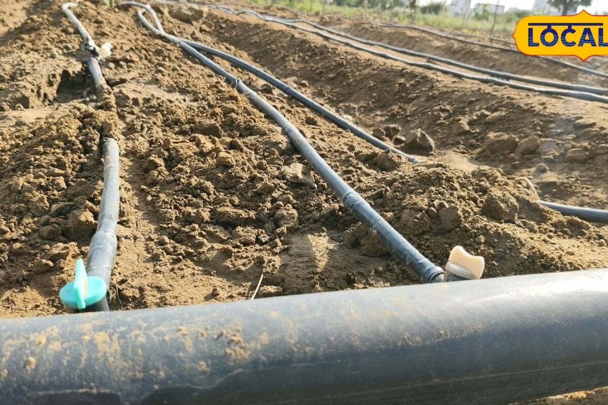 Farm Pond Subsidy के नियमों में बड़ा बदलाव अब इन दस्तावेजों के बिना नहीं मिलेगा सरकारी अनुदान