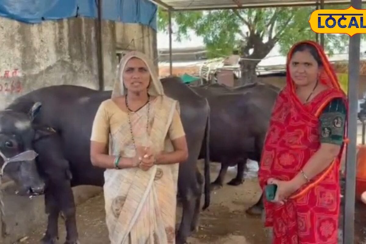 इस महिला ने 3 लाख के लोन से खरीदीं भैंस अब हर साल लाखों की कमाई