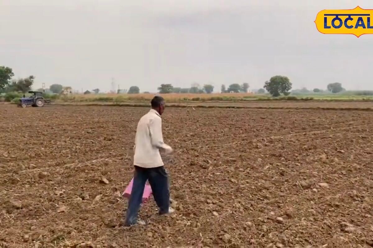 बाजरे की खेती से कमाना है ज्यादा मुनाफा तो इन बातों को बिल्कुल न करें नजरअंदाज