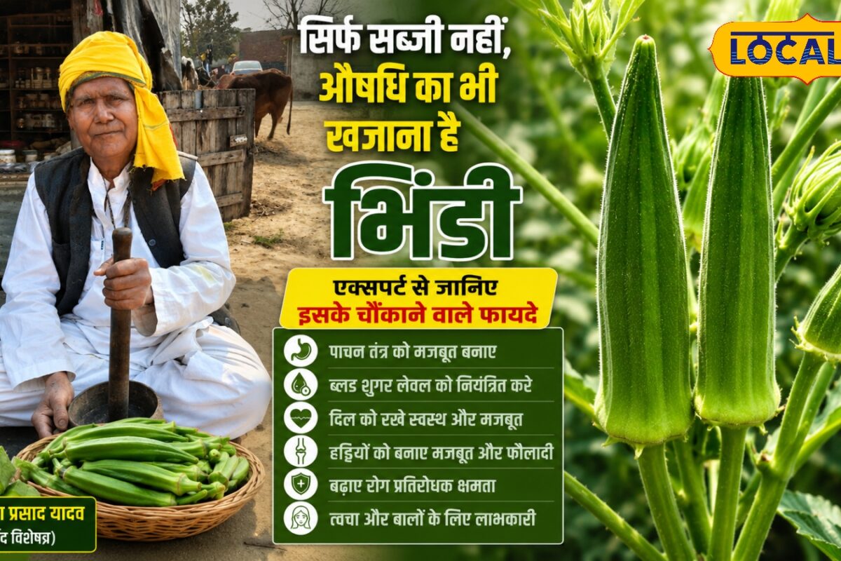 सिर्फ सब्जी नहीं औषधि का भी खजाना है भिंडी एक्सपर्ट से जानिए इसके चौंकाने वाले फायदे
