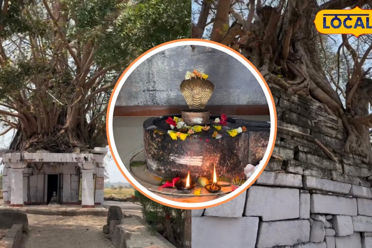 Hyderabad News: आदिलाबाद का अनोखा चमत्कार पीपल की जड़ों ने बचाया सदियों पुराना शिव मंदिर