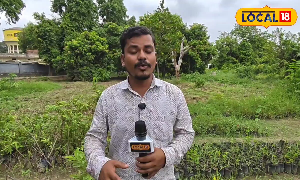 77 साल के शख्स ने नींबू के एक पेड़ से बनाया 30 लाख का टर्नओवर अब बताई सबको ट्रिक