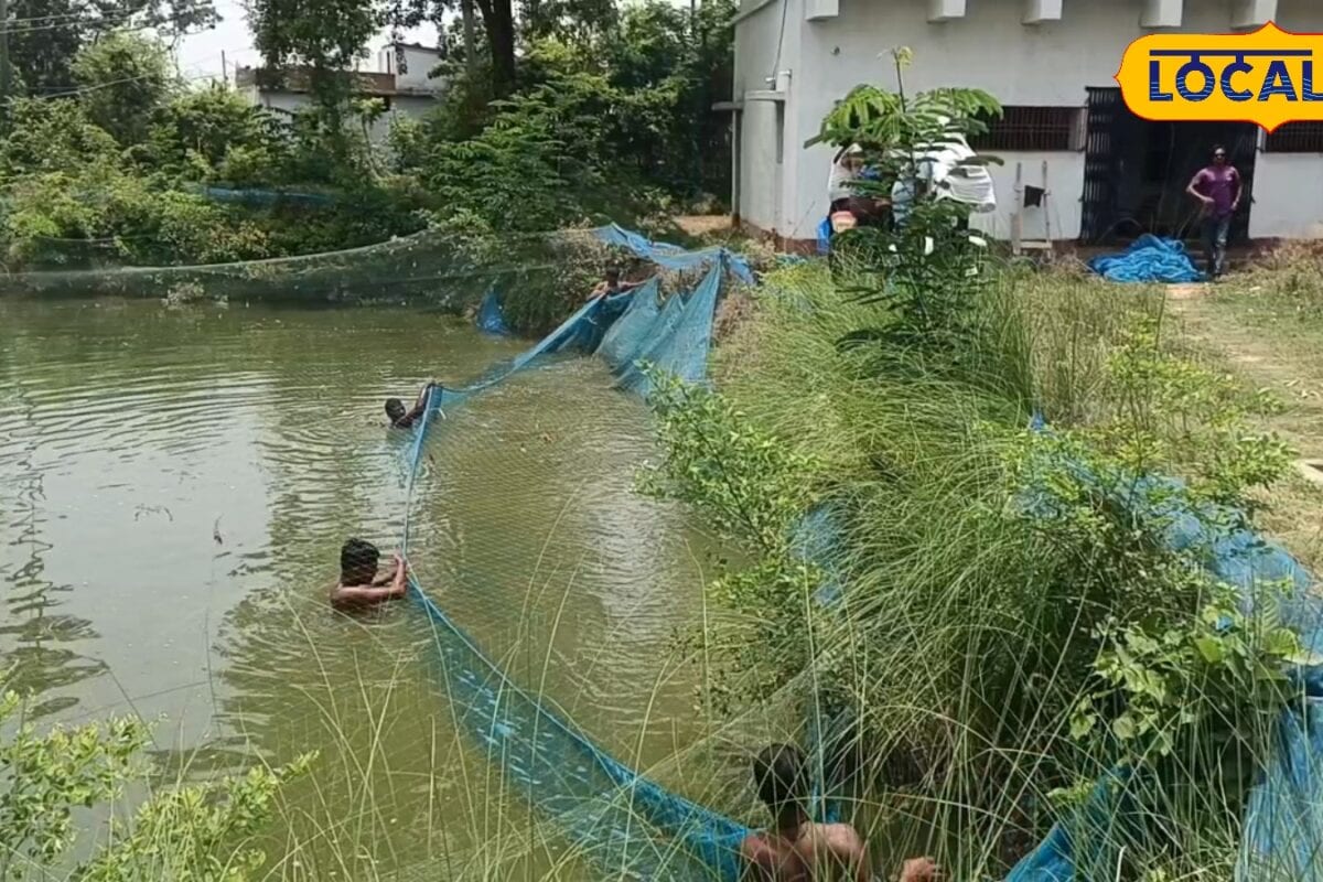 मछली पालन पर मिल रही 70% सब्सिडी! सरकार की इस नई योजना से किसानों को मिलेंगे 4 लाख ऐसे करें अप्लाई