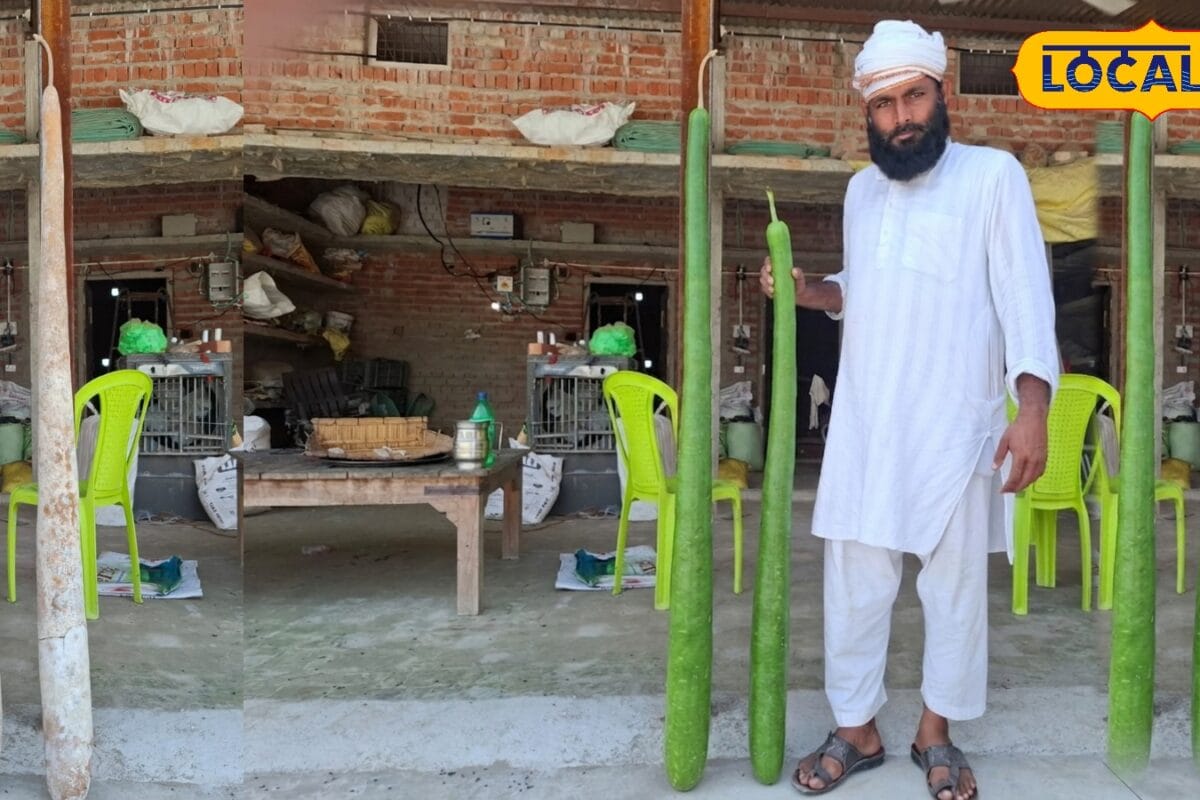 बहराइच में भटपुरवा के किसान जिया उल हक ने उगाई 7 फीट की लौकी करते हैं मचान विधि का प्रयोग जाने