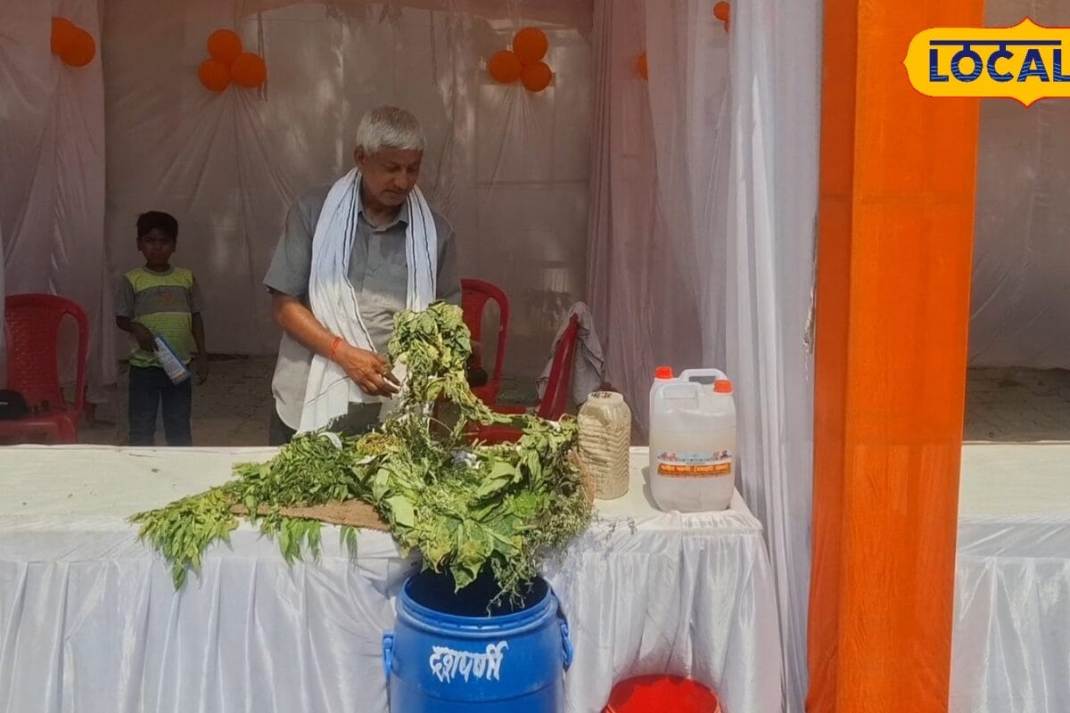 जैविक खेती में लागत बढ़ने से किसान मुन्नालाल ने अपनाई प्राकृतिक खेती कम बजट में ज्यादा मुनाफा जाने दोनो में अंतर