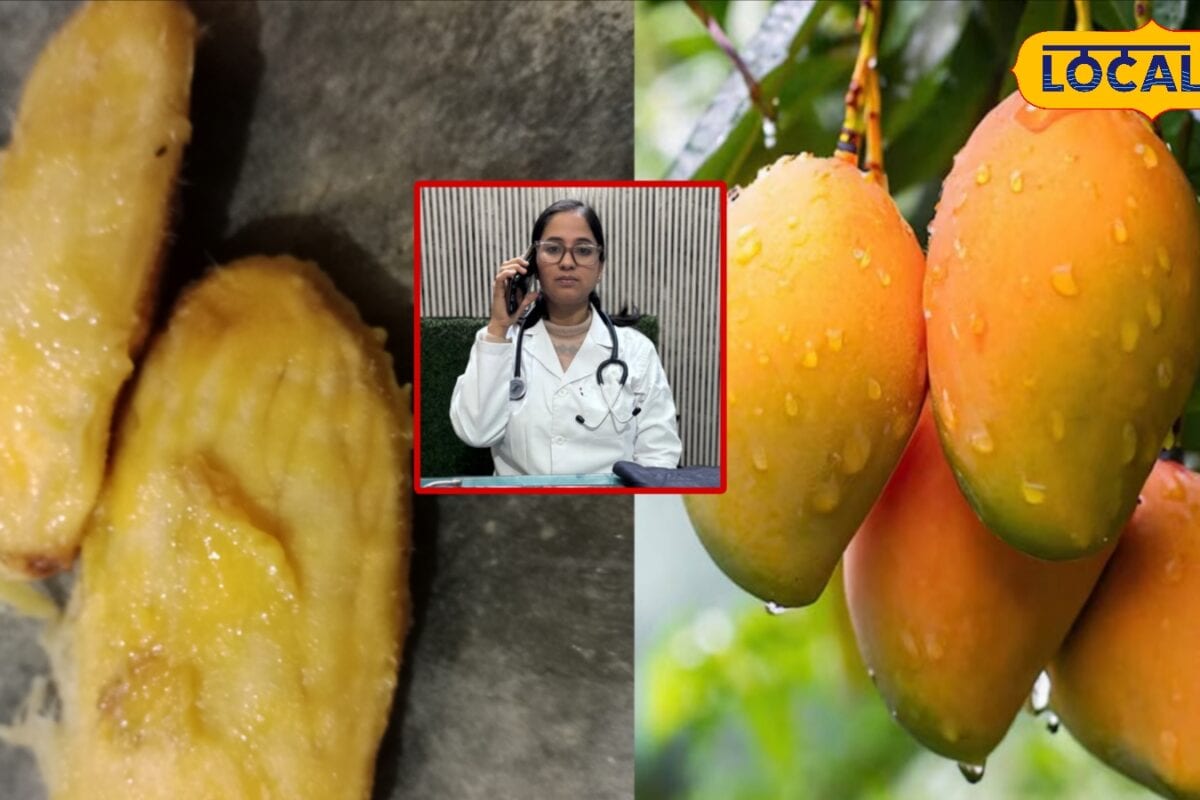 बेकार समझ के मत फेंकिये आम की गुठलियां एंटीऑक्सीडेंट गुणों से होती है भरपूर पाचन ब्लड शुगर कंट्रोल त्वचा व बालों के लिए फायदेमंद जाने प्रयोग