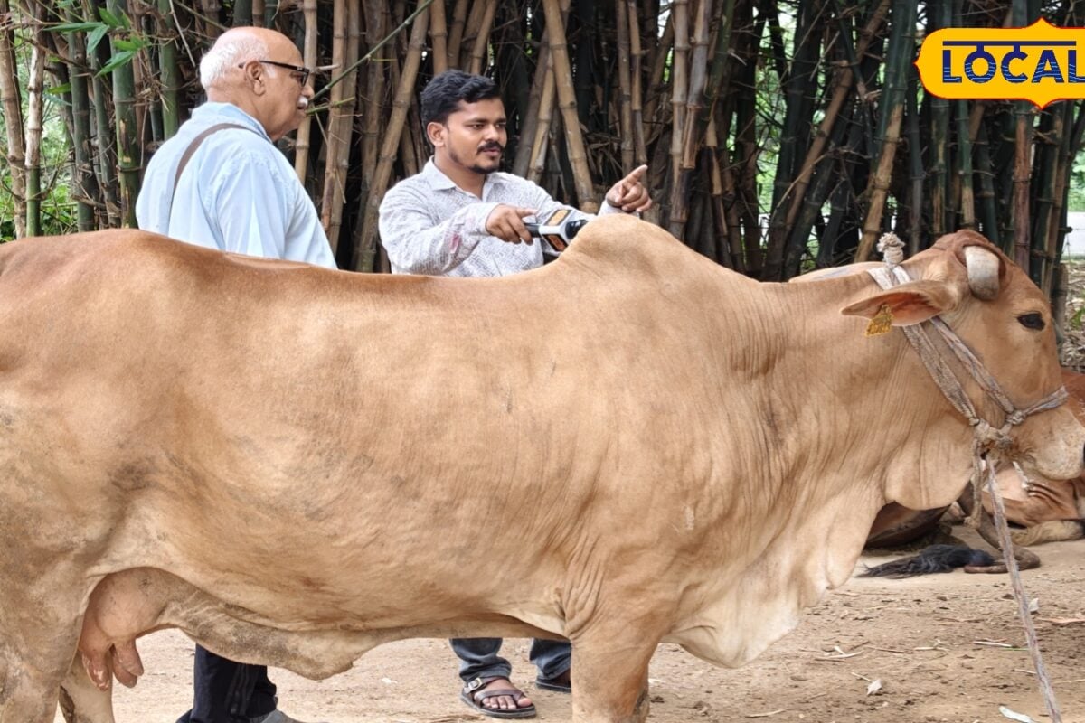 नींबू मधुमक्खी और गाय पालन बलिया के जयप्रकाश पांडेय की कहानी सालाना 11 लाख टर्नओवर राज्यपाल ने किया सम्मानित