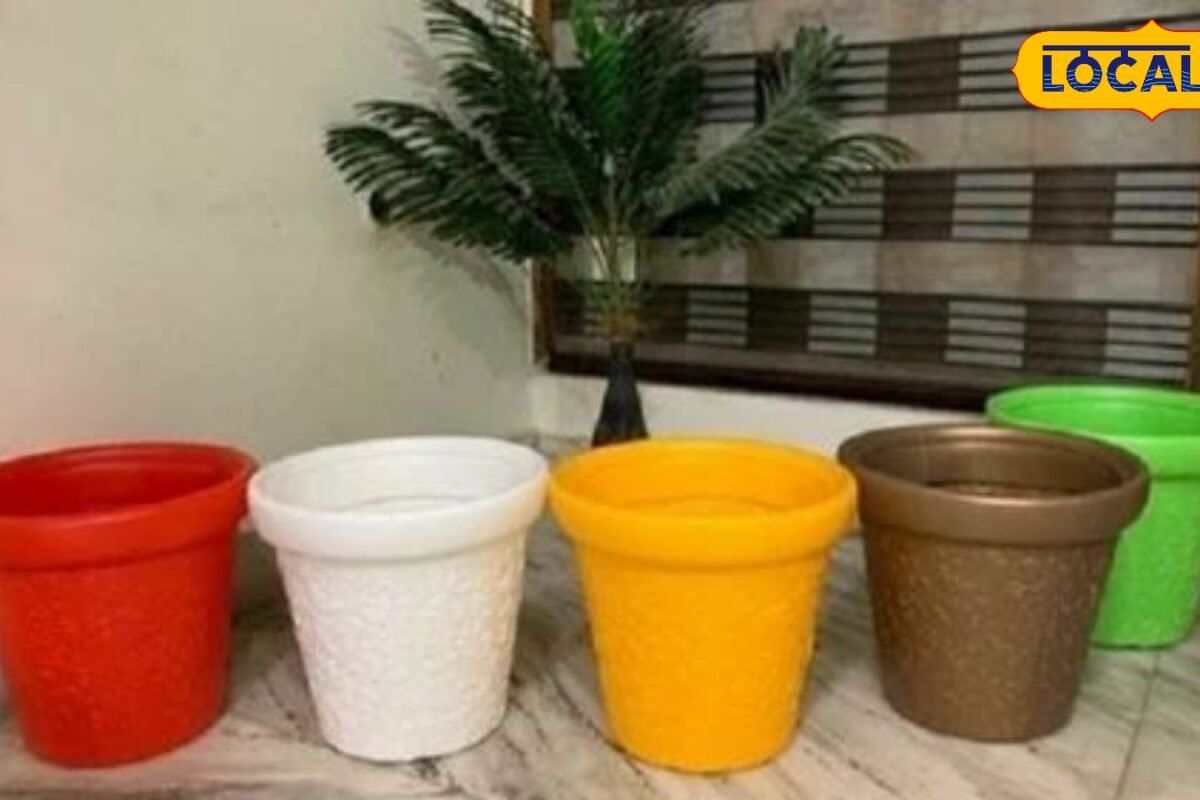 घर में पौधे लगाने से पहले जान लें ये वास्तु नियम सही दिशा और सही रंग का गमला बदल सकता है पूरे घर का माहौल