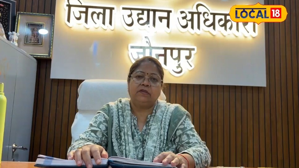 जौनपुर में गांव घर खेत में लगाना है फलदार या औषधीय पौधा उद्यान विभाग दे रहा फ्री फटाफट पहुंचे